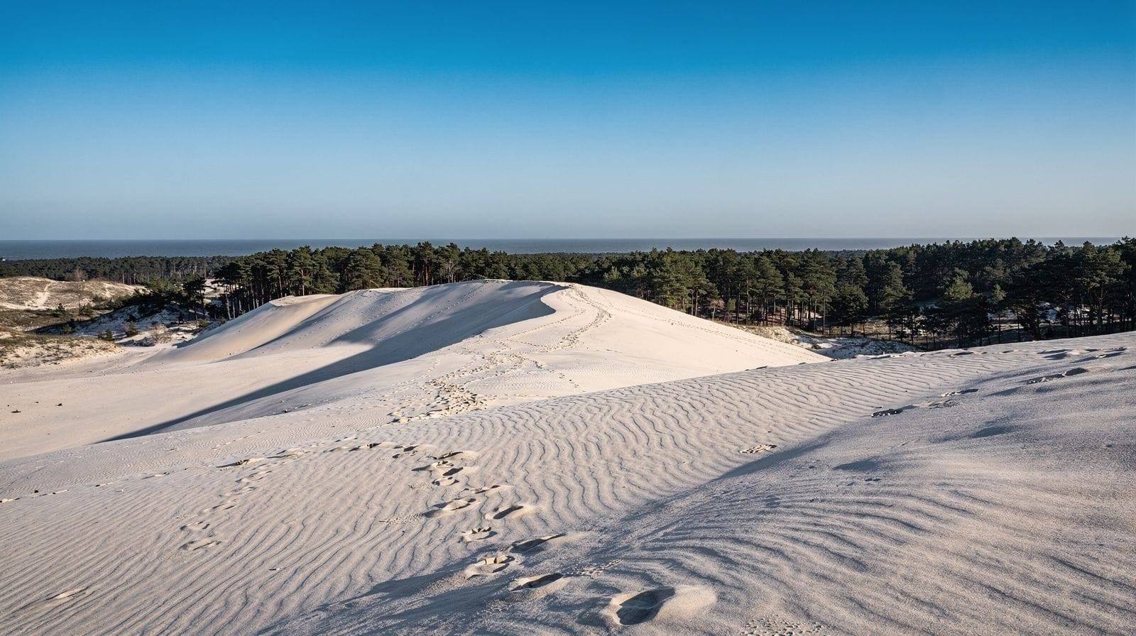Las dunas de Łeba se mueven, y por eso no puedes llegar en coche
