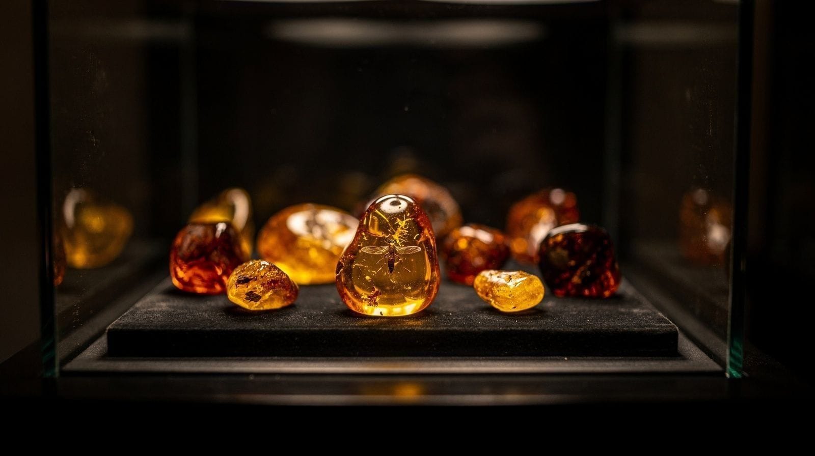 Amber and Old Town Museums
