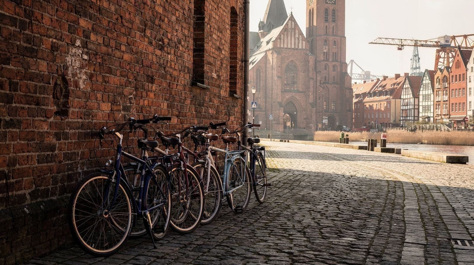 Bike and Segway Tours