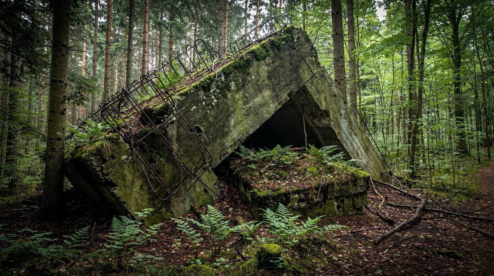 Wolf's Lair Day Trips