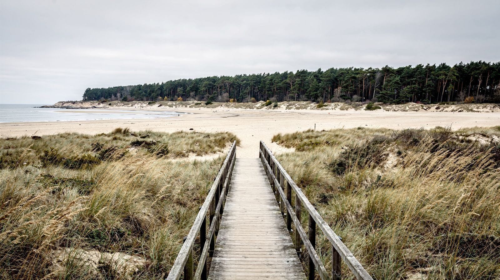 Sobieszewo Island