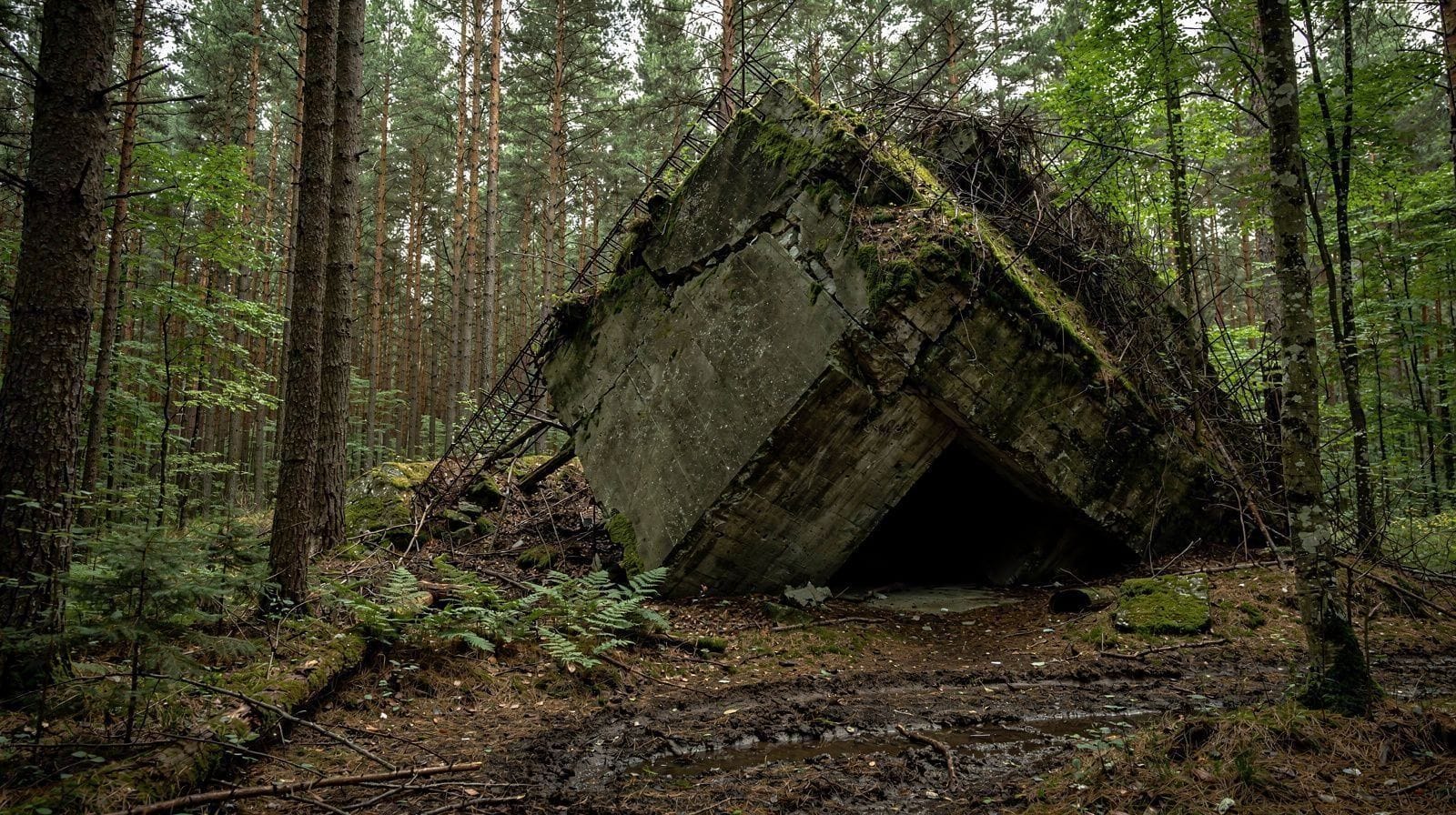 The Wolf's Lair