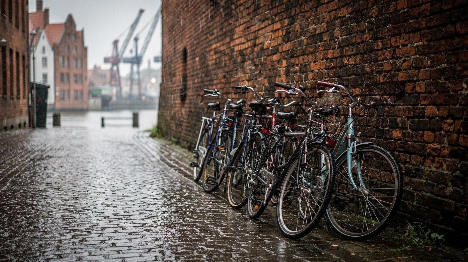 Gdańsk à vélo : parcourir la vieille ville et la Motława plus vite