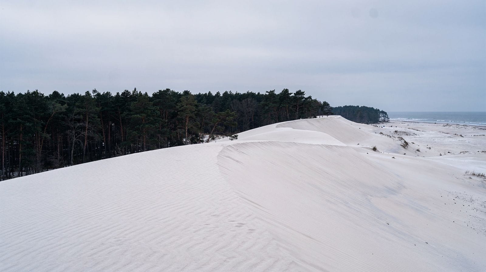Les dunes mouvantes de Łeba : le guide complet du parc national de Słowiński