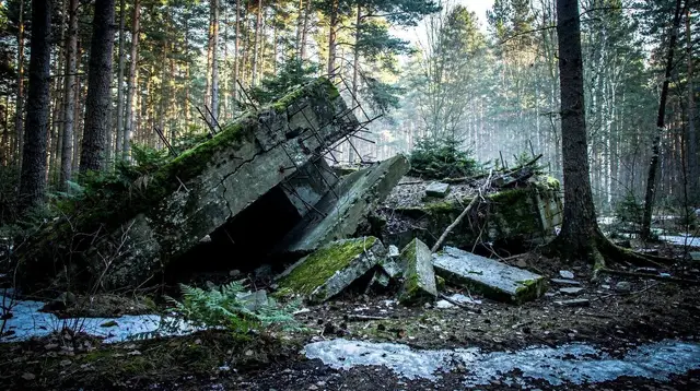 Wolf's Lair Day Trip from Gdańsk: What to Actually Expect