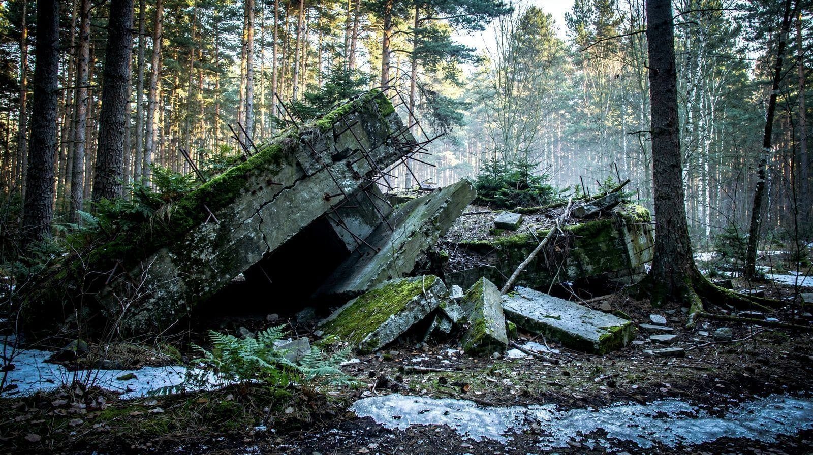 Excursion d'une journée à la Tanière du Loup depuis Gdańsk : à quoi s'attendre
